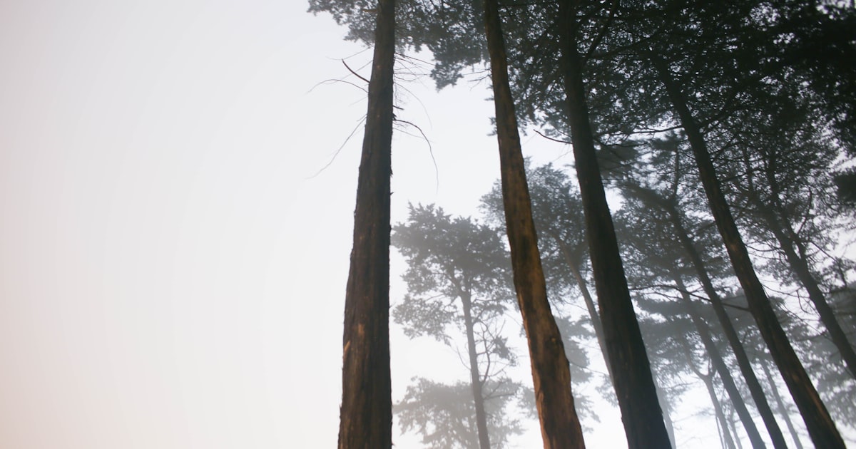 Freelancer a daně v Česku: průvodce 2026
