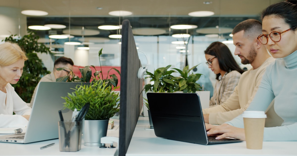 Podnikatelský plán: jak ho napsat + vzor